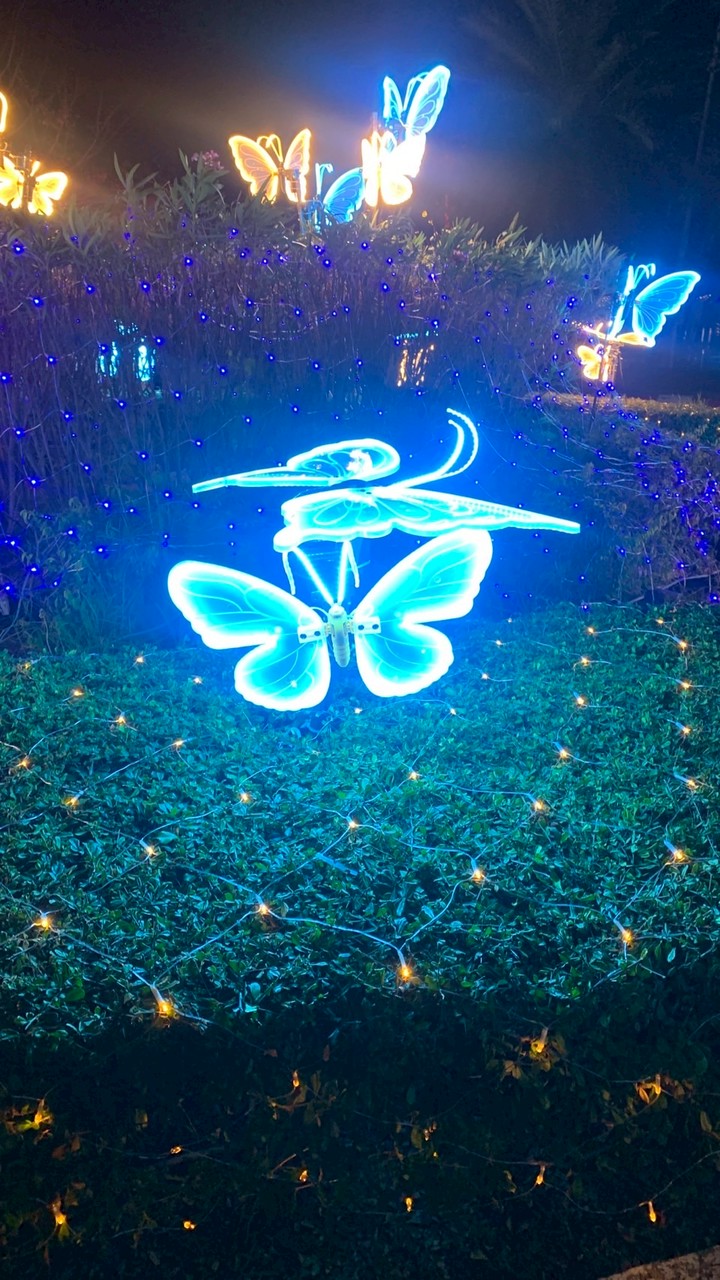 🩵ร้านขายการ์ดไอดอล💜