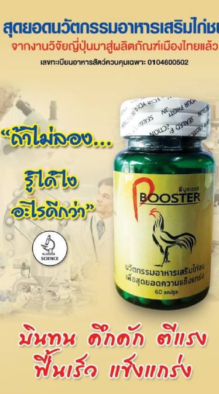 P-Booster&ไก่สวยงาม ชลบุรี