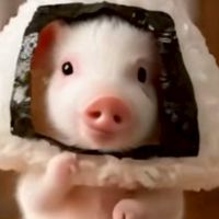 超🎵超🎵お気楽🎶50代本音で語れる仲間の部屋