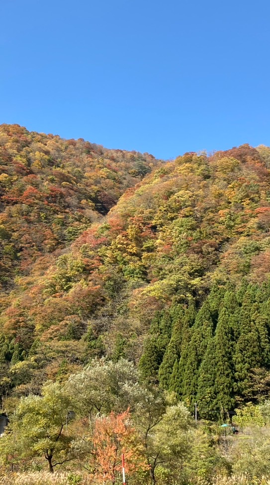 ヒカマニ引退者によるヒカマニオプ