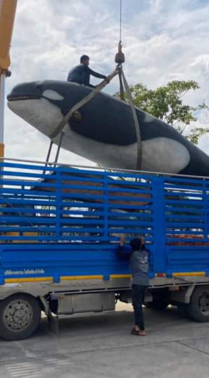 รถขนส่งทั่วประเทศไทย🚚🇨🇷