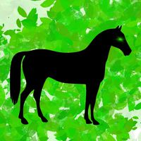 ◾︎🐎オールインワン競馬🐎◾︎ 情報交換・馬券予想・競馬雑談グループ