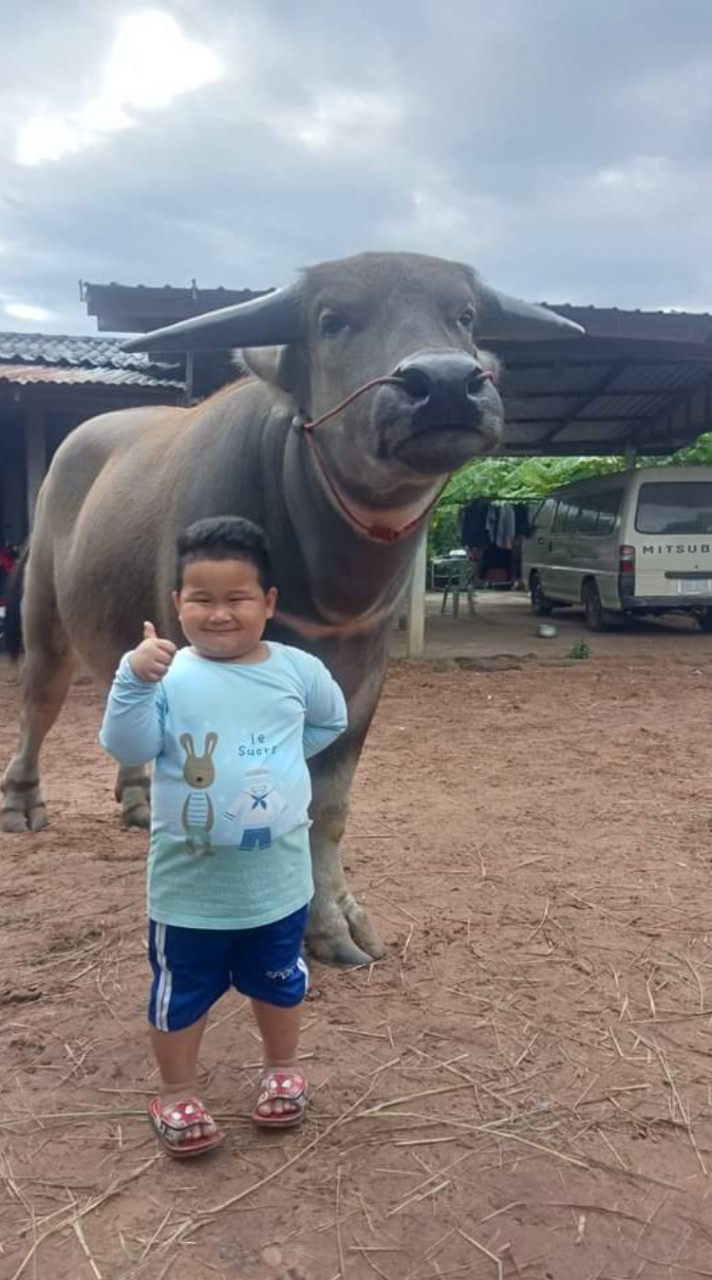 หัวเหล็ก