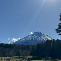 埼玉県ゴルファー部屋