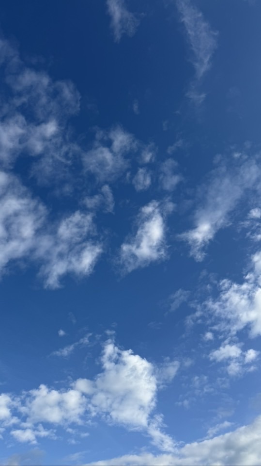朝活で人生を最高に✨