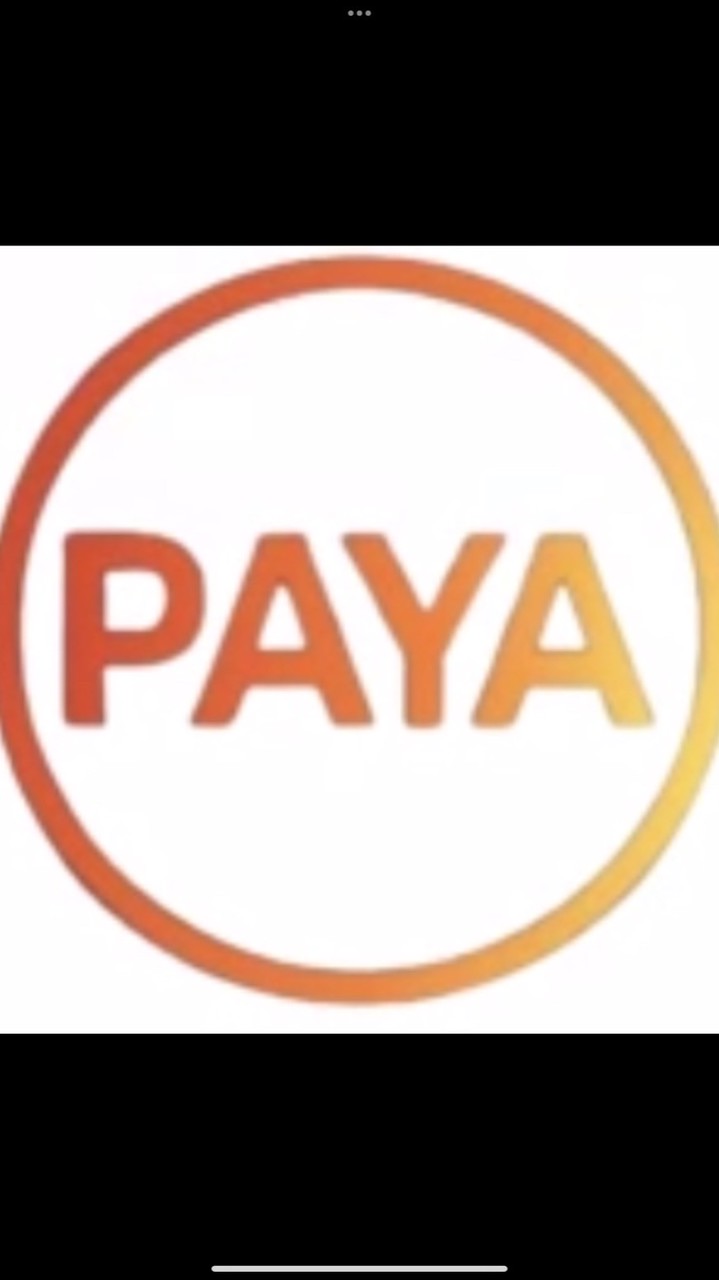 PAYA UPCX 情報