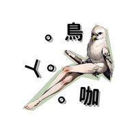 ♡鳥ㄚ咖♡