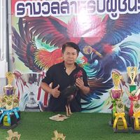 ซุ้มบอย ไชโย