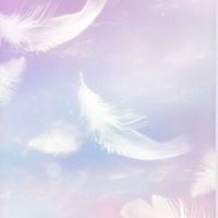 漆黒の堕天使 373