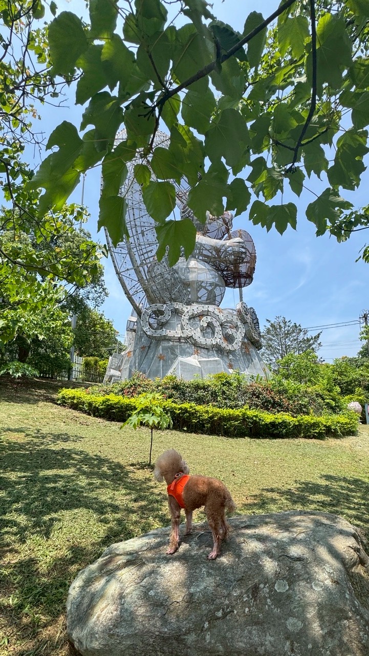 Renee動態