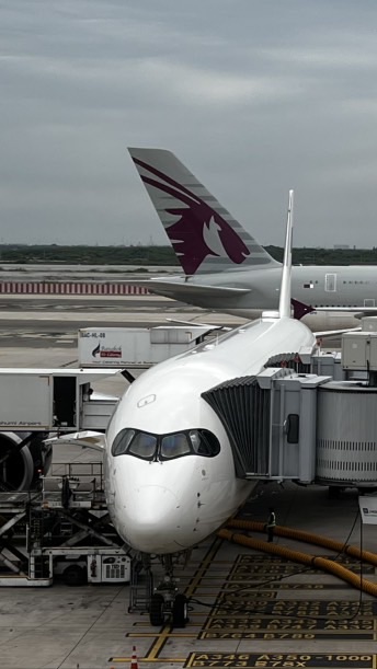 🌟2026 微Real的星宇航空招募討論群🌟