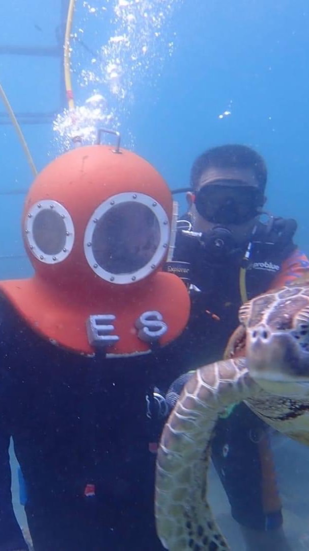 阿湯哥旅遊好康報報