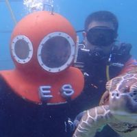 阿湯哥旅遊好康報報