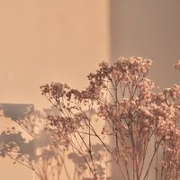 素人網紅 👯 合作討論接案 💫