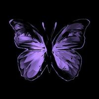 ค่าย Butterflies 🦋