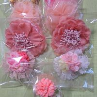 着物でお出かけ(女性限定)関東