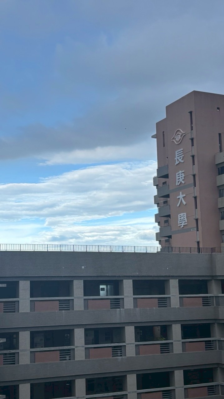 長庚大學 護理學系