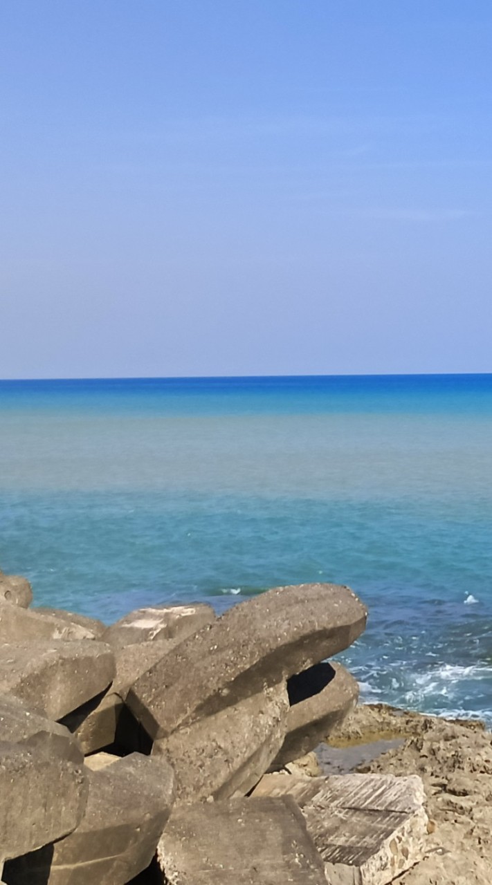 勇闖美麗島