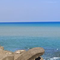 勇闖美麗島