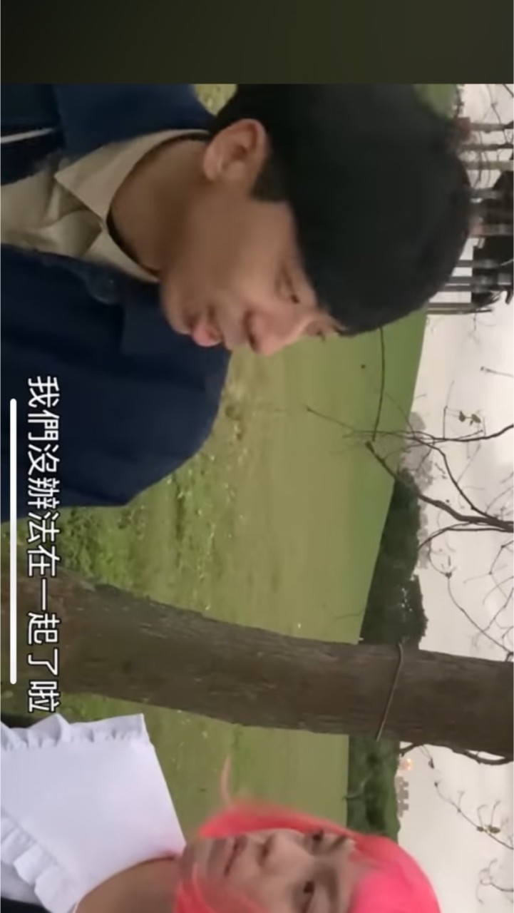 心碎小狗2.0