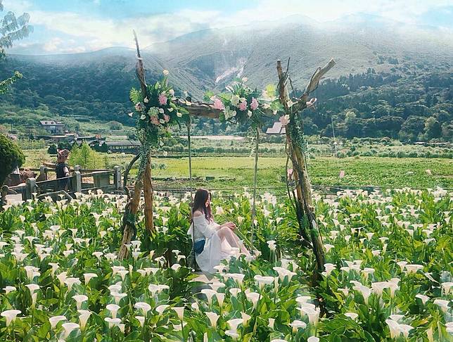 台北景點 名陽匍休閒農莊 化身為小仙女在雪白世界盪鞦韆 Cako Line Today