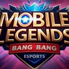 กลุ่มหาทีมซ้อม MLBB ( MOBILE LEGENDS : BANKG BANG