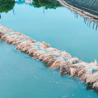 徳島建築レビュー