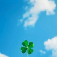 お姉さん🍀年下くん🌼同世代🌷のんびり雑談❀(*´▽`*)❀