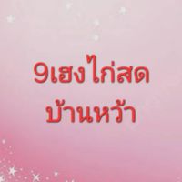9เฮงไก่สด สาขา บ้านหว้า(เหล่านาดี)