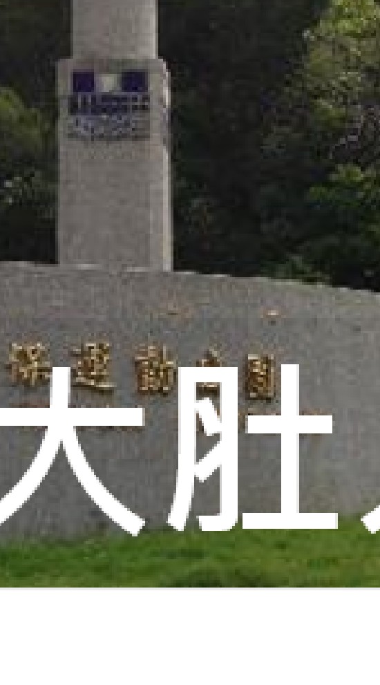 我是大肚人