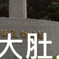 我是大肚人