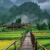 ห้องพักใจคลายเหงา 40++50+60+