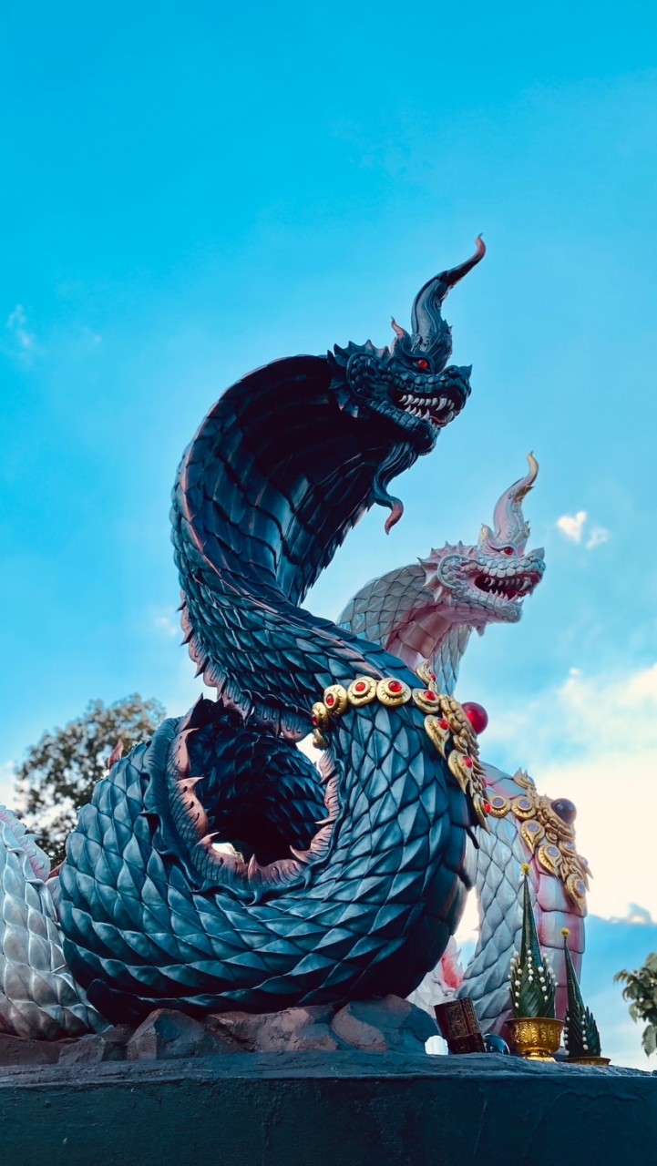ปู่องค์ดำแสนสิริจันทรา แม่ย่ามณีจันทรามณีนฤมาศ 🐍