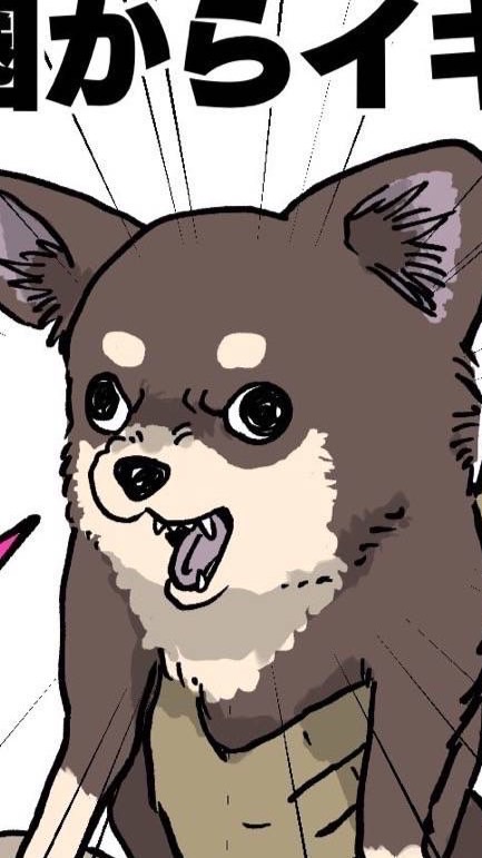 あまりにも自由でカオスすぎる【 全緩也 】❤️❤️