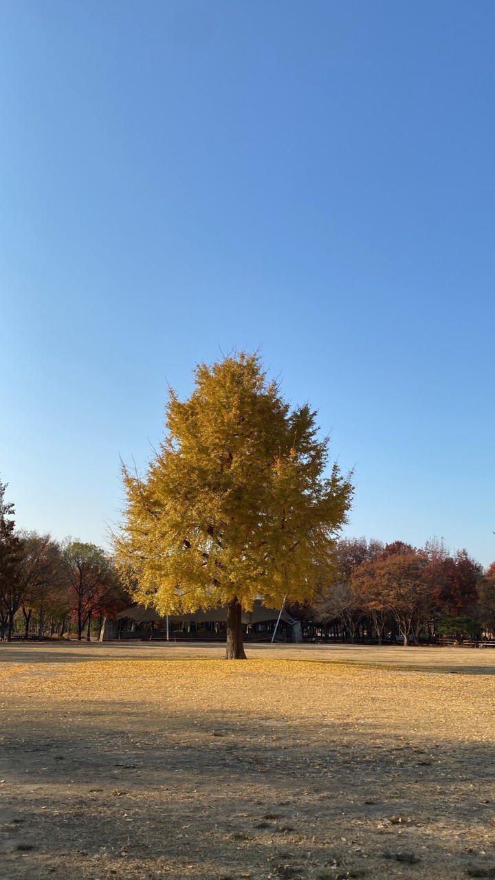 Kuma286在韓代購🪴