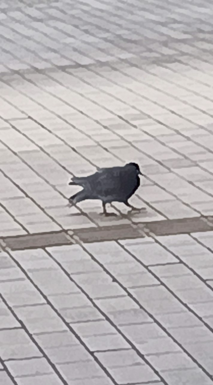 痛いやつ集まれ！！
