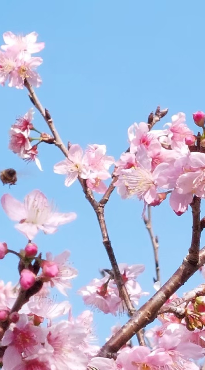 🎧一個音樂角落🎧