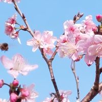 🎧一個音樂角落🎧
