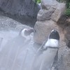 不登校さん話そ～！