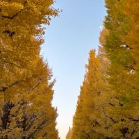 最難関を目指す文系(理系も可)達集まれ！