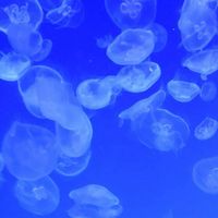 とにかく動く！比較的緩めなトリップ研究所