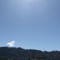 四国のゴルフ（愛媛､香川､徳島､高知）初心者〜上級者