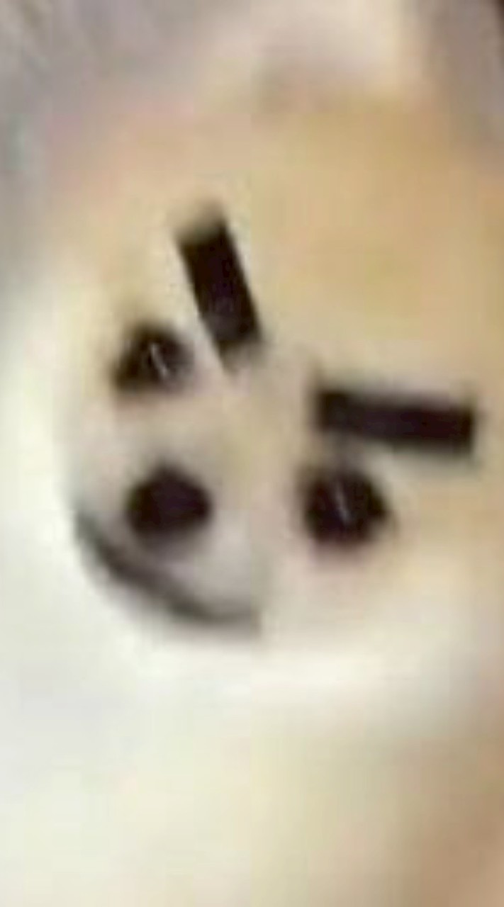 ロブロイラストオプ✏️