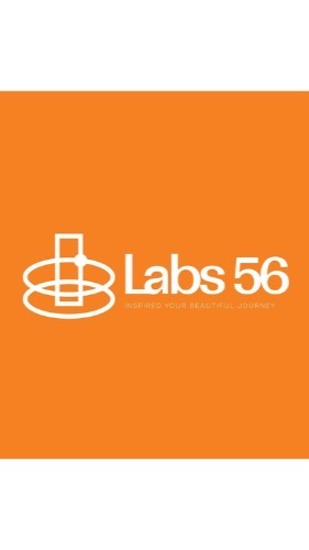 Labs56 Get a job