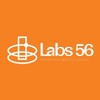 Labs56 Get a job