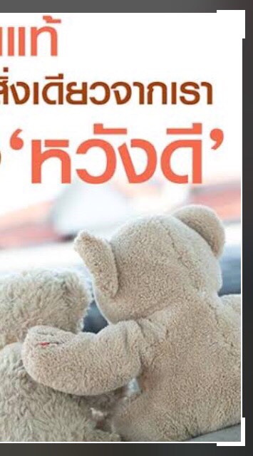 เพื่อนต่างถิ่น