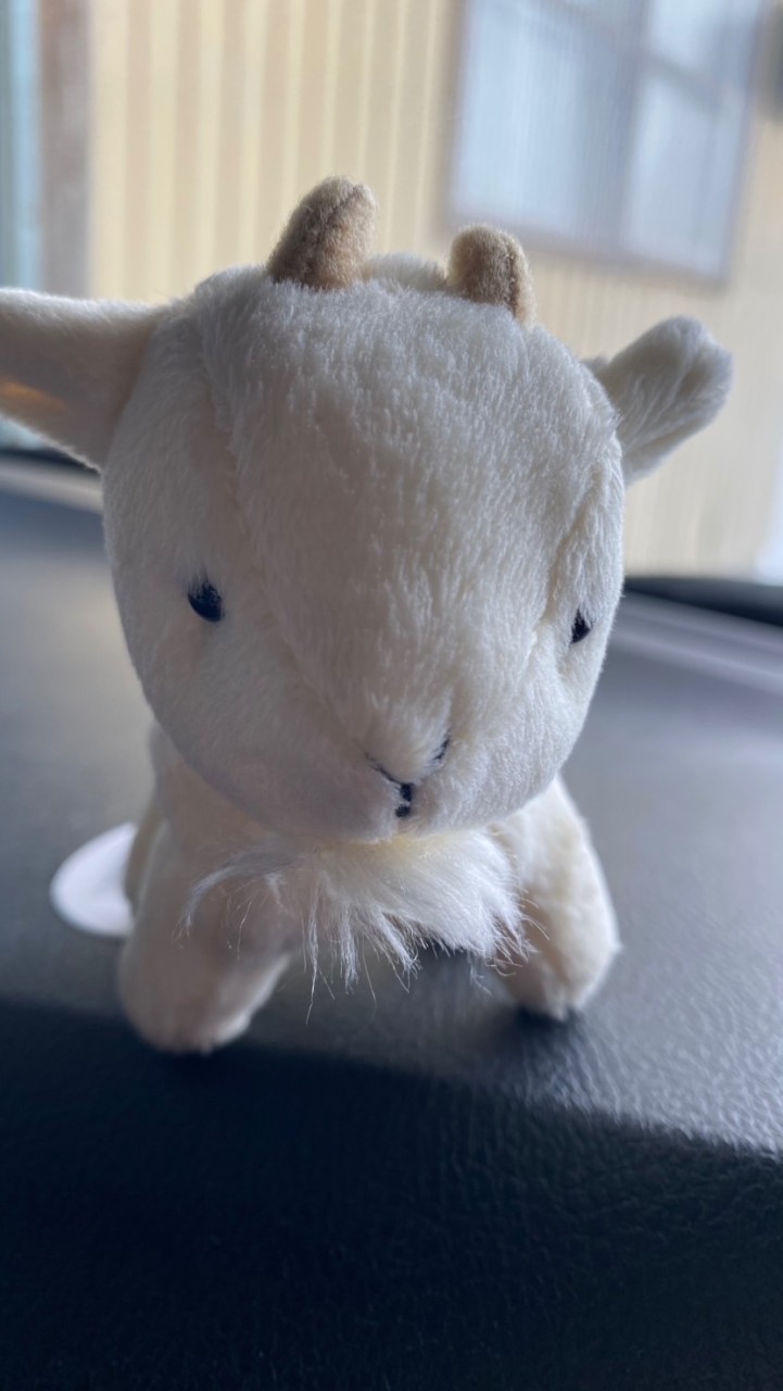 ヤギの牧場物語 ‪🐐‪🌱‬