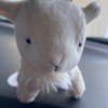 ヤギの牧場物語 ‪🐐‪🌱‬