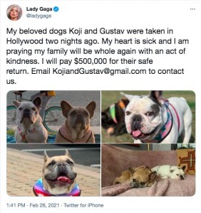 レディー ガガの愛犬救ったドッグウォーカーが長文の声明を発表 人生が予期せず急転換してしまった