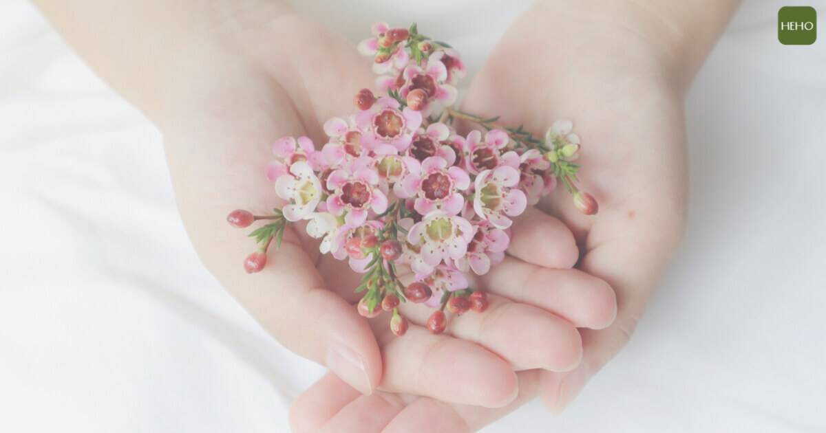 追求生命的安歇之處安寧照護讓疾病末期的恐懼減少了 Heho健康 Line Today